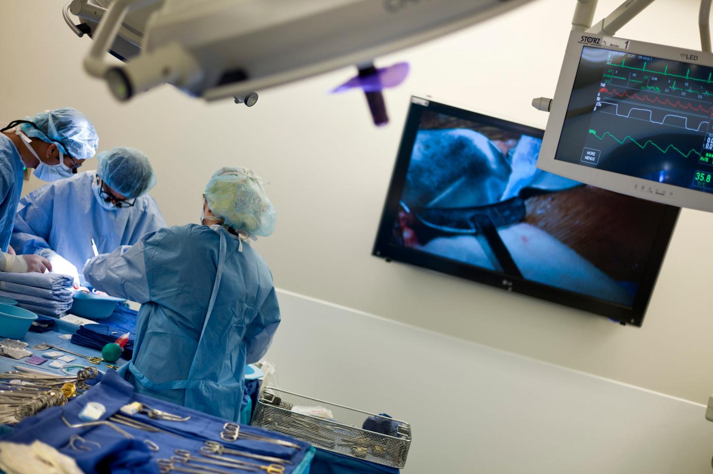 Dr. Niraj Desai (C) and others prepare a