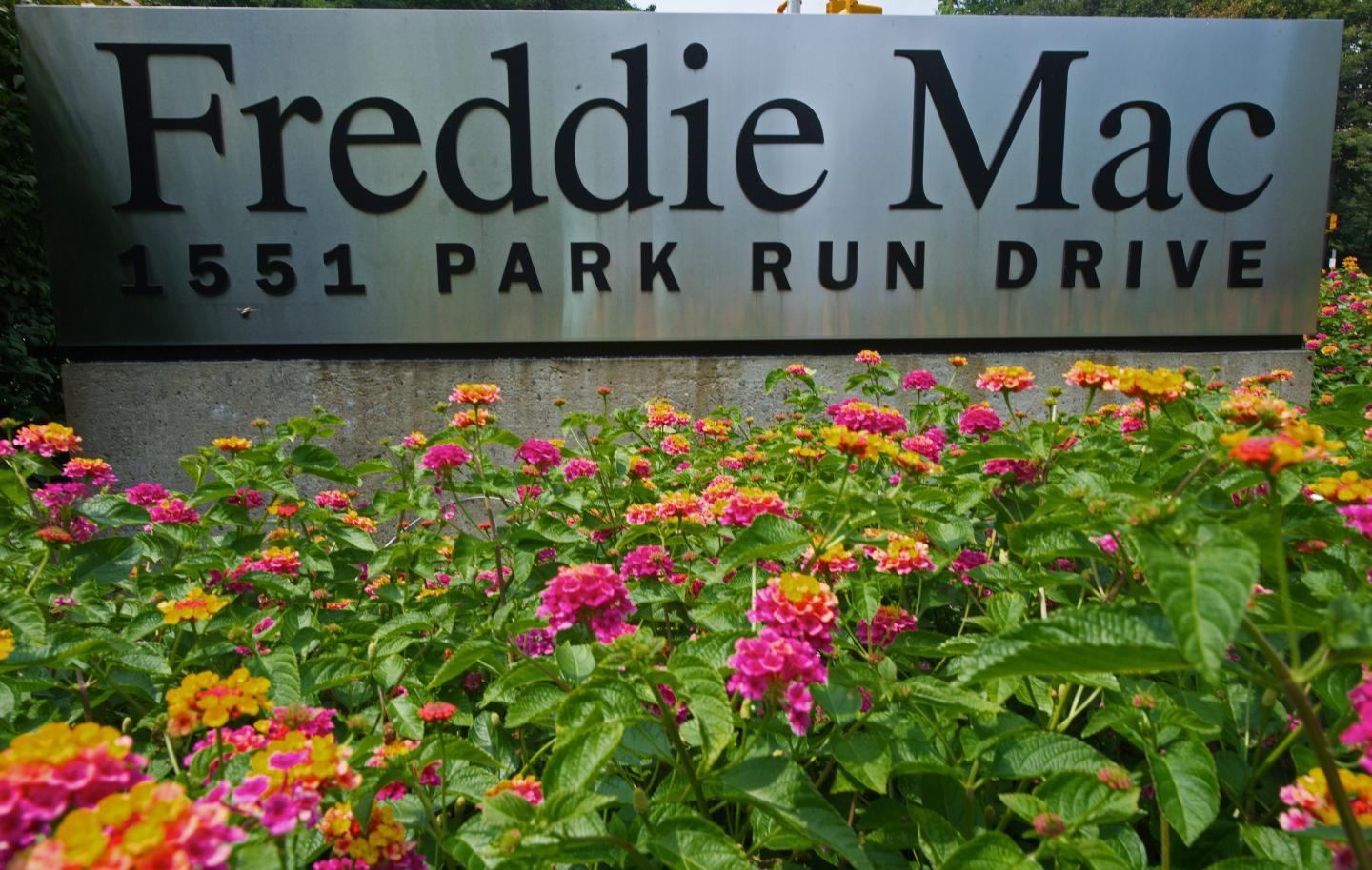 Colorful flowers are seen on August 11, 2010, at the entrance to the Freddie Mac offices in McLean, Virginia. Troubled US mortgage firm Freddie Mac reported August 9, 2010 a second quarter net loss of six billion dollars and sought another 1.8 billion dollars from the Treasury to contain the red ink.The government-backed company said its strategies to boost business and "sustainable homeownership" were taking hold but cited high unemployment posing "very real challenges" for the already embattled housing market.      AFP Photo/Paul J. Richards (Photo credit should read PAUL J. RICHARDS/AFP/Getty Images)