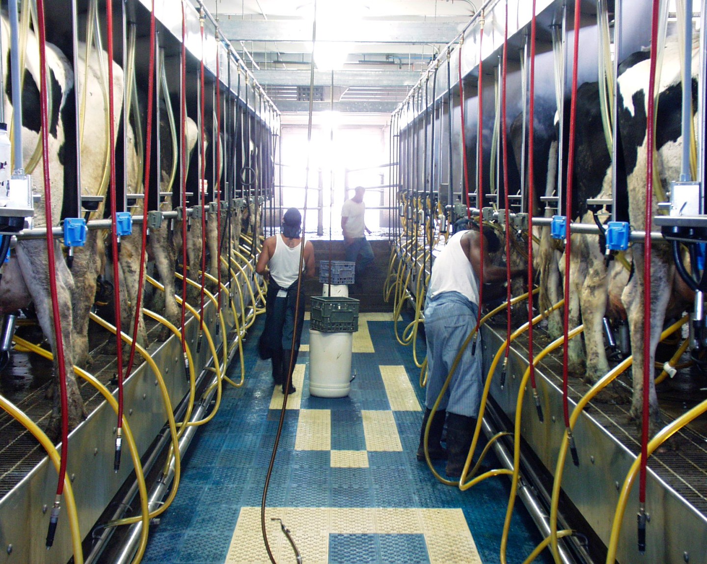 Colorado Correctional Industries