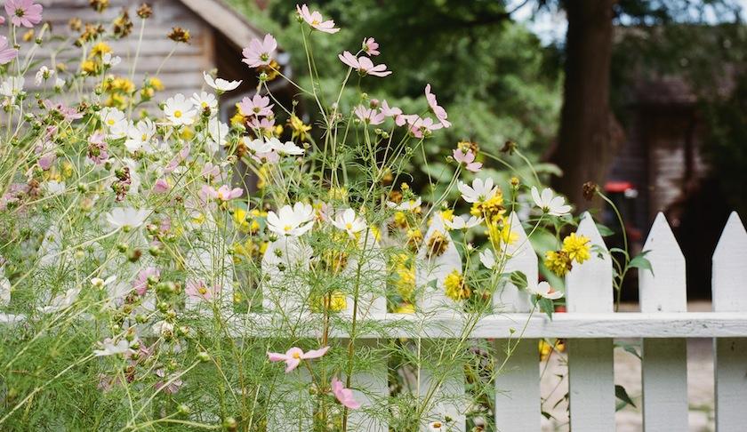 A picket fence