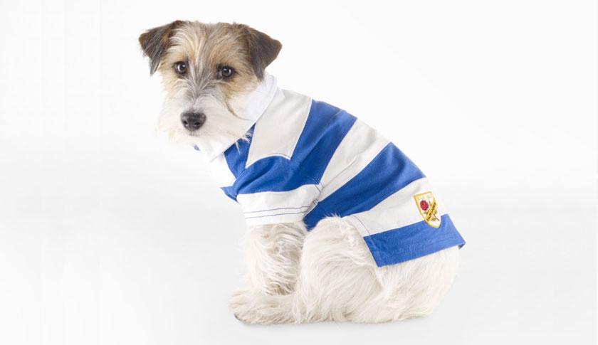 Yes, doggy haute couture is a thing…and it’s fabulous
