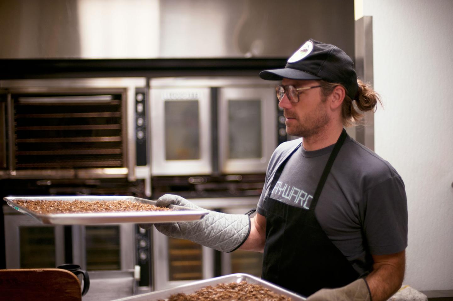 Bugs in your protein bar: are edible insects the next food craze?