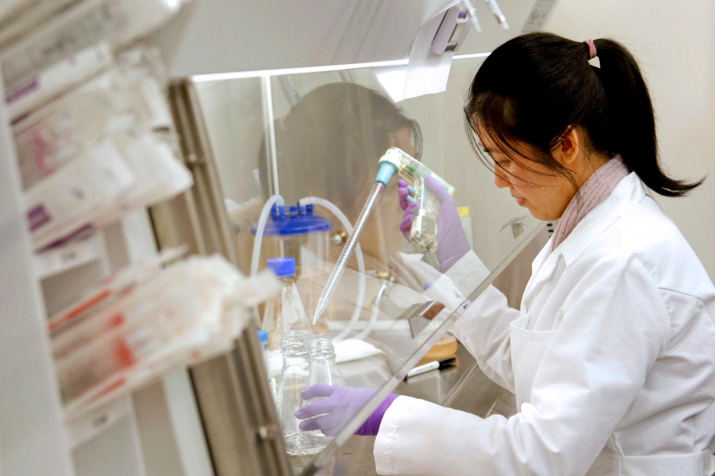 Kim Le, a research associate for FivePrime Therapeutics, wor