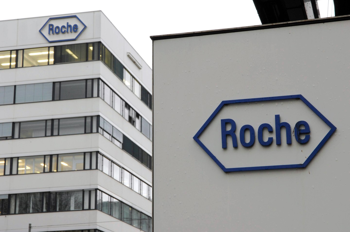 Roche FY Earnings Press Conference
