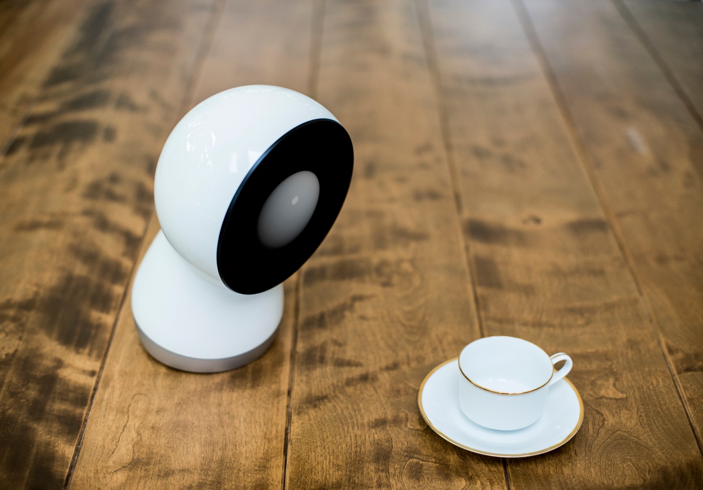 Jibo the robot.