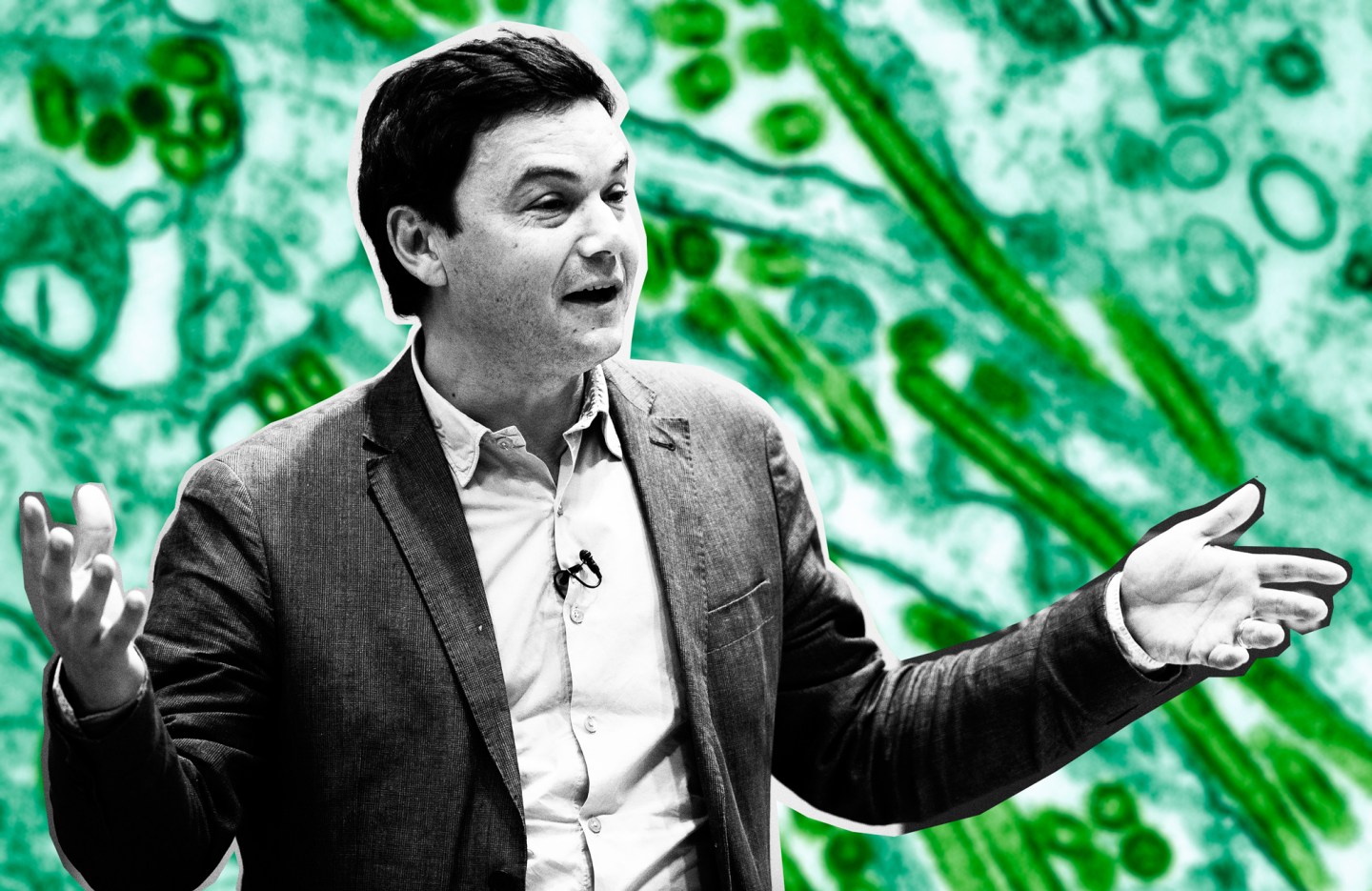 Avian influenza virus tem