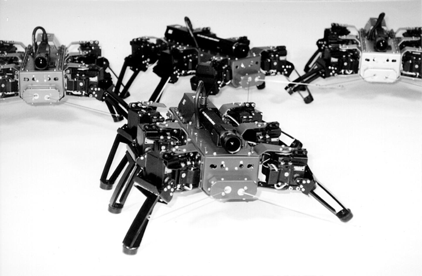 iRobot