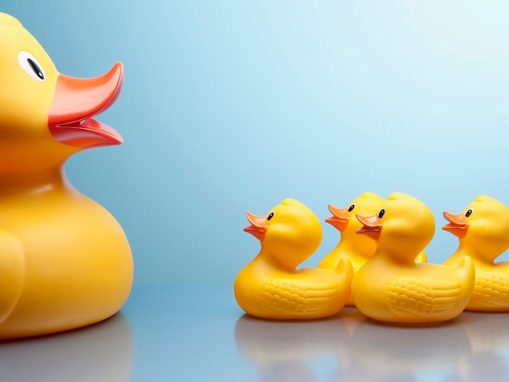 rubber duck ducklings