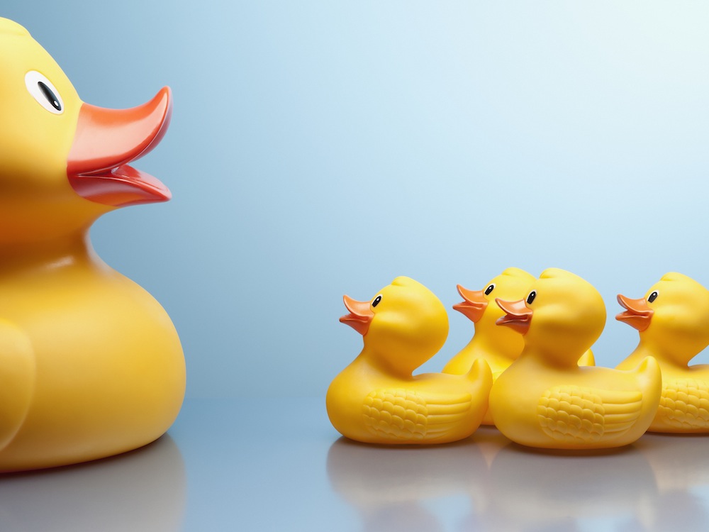 rubber duck ducklings