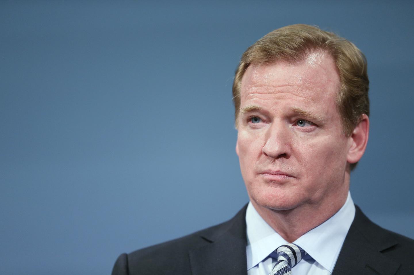 NFL Commissioner Goodell Discuss 2014 Super Bowl Plans