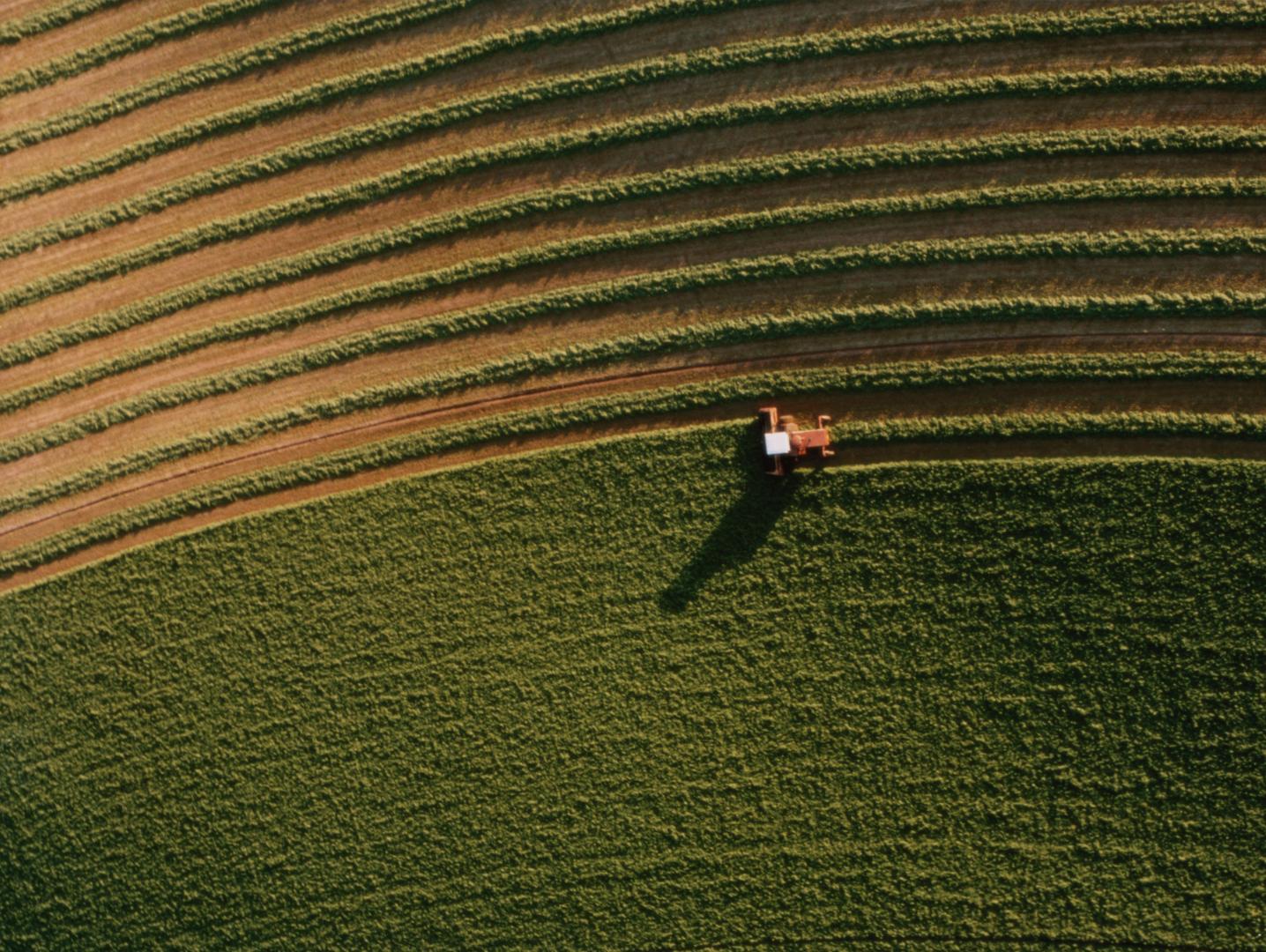 Farming alfalfa harvest