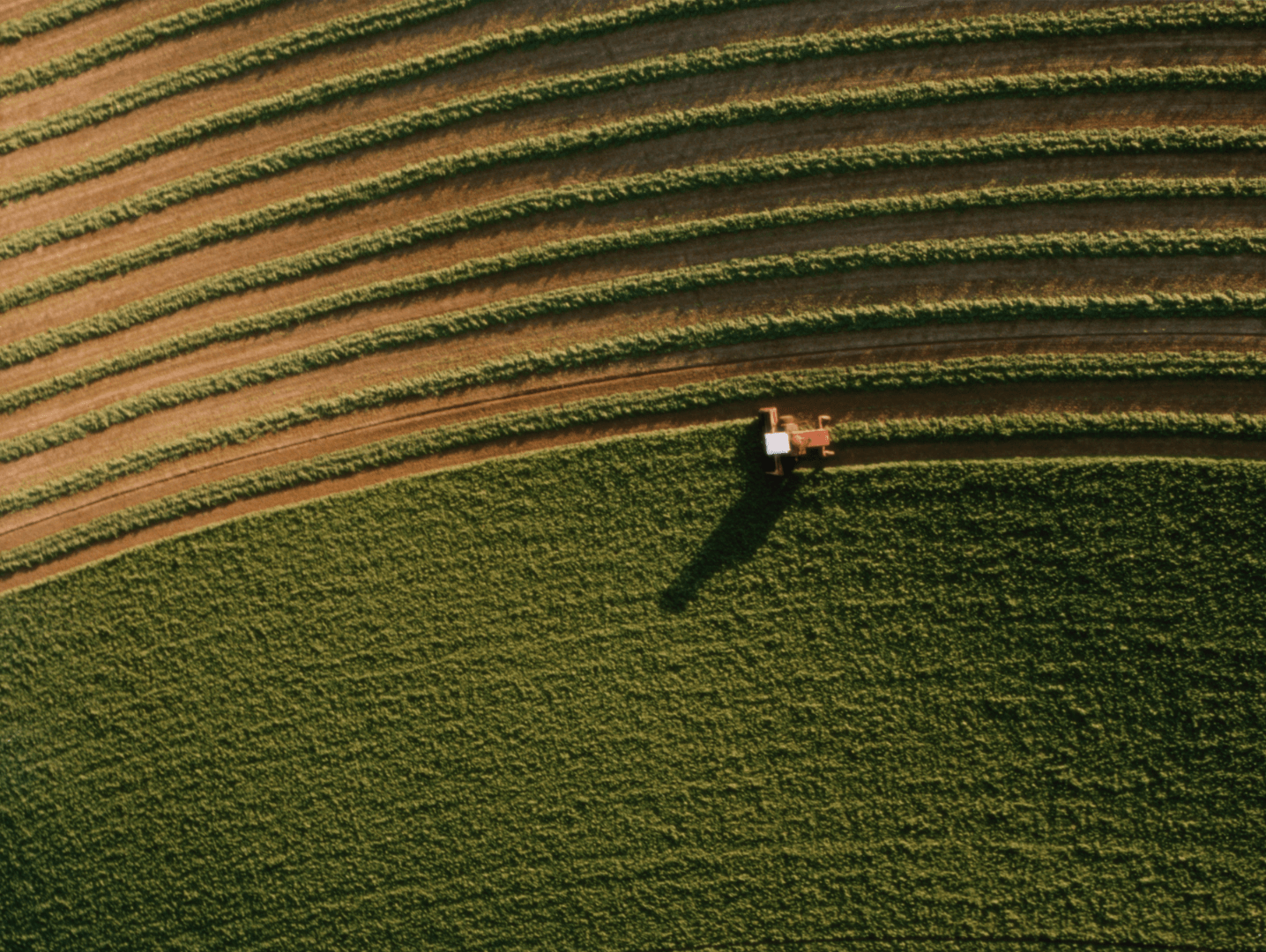 Farming alfalfa harvest