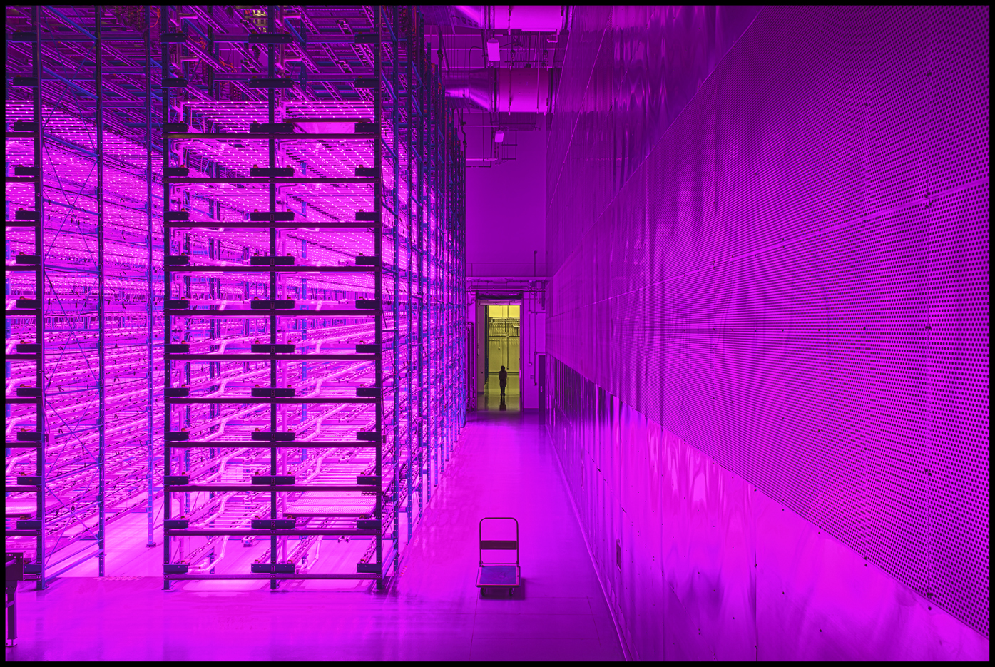 contract
Armin Harris