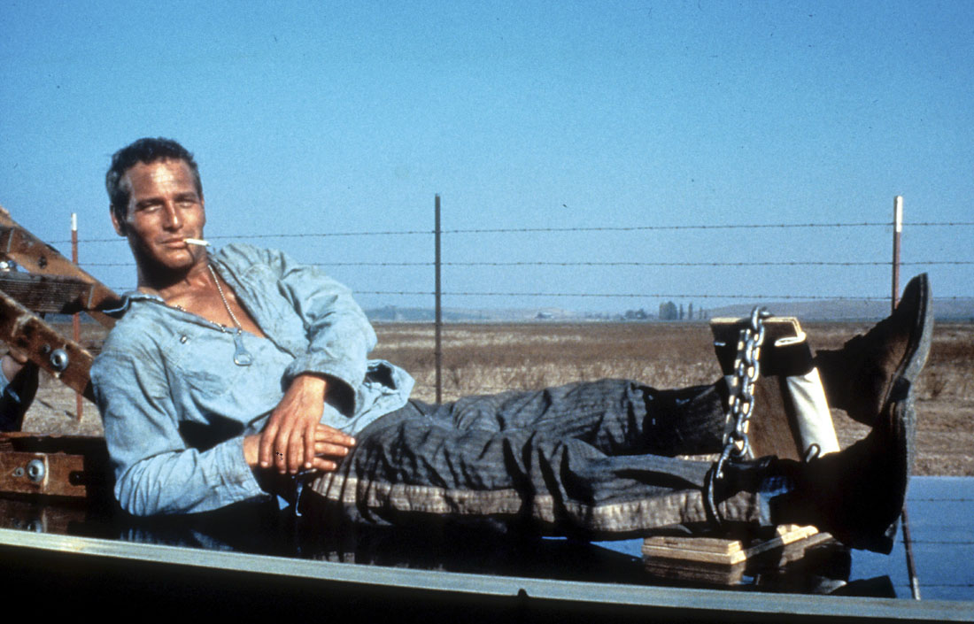 Paul Newman