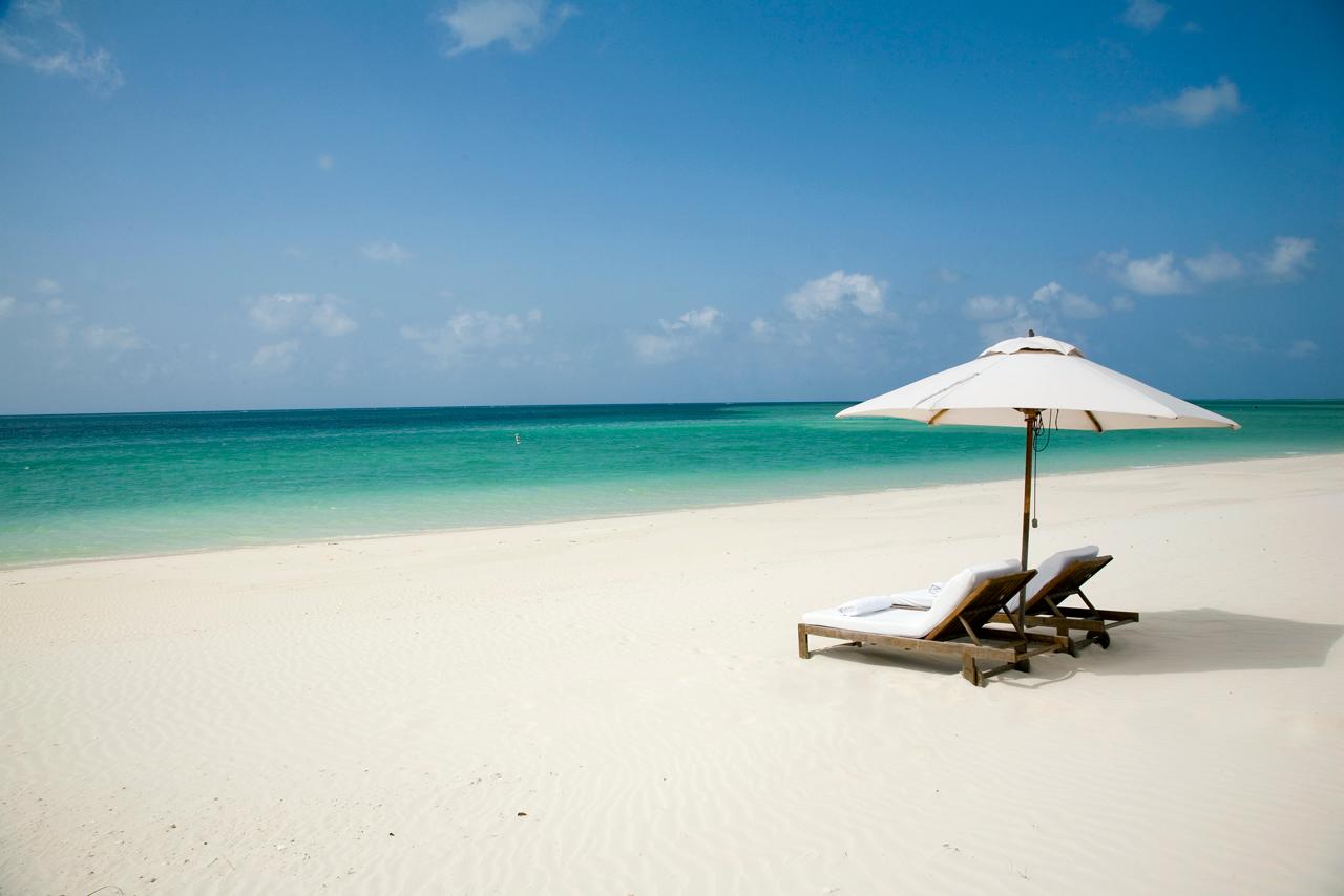 parrot cay