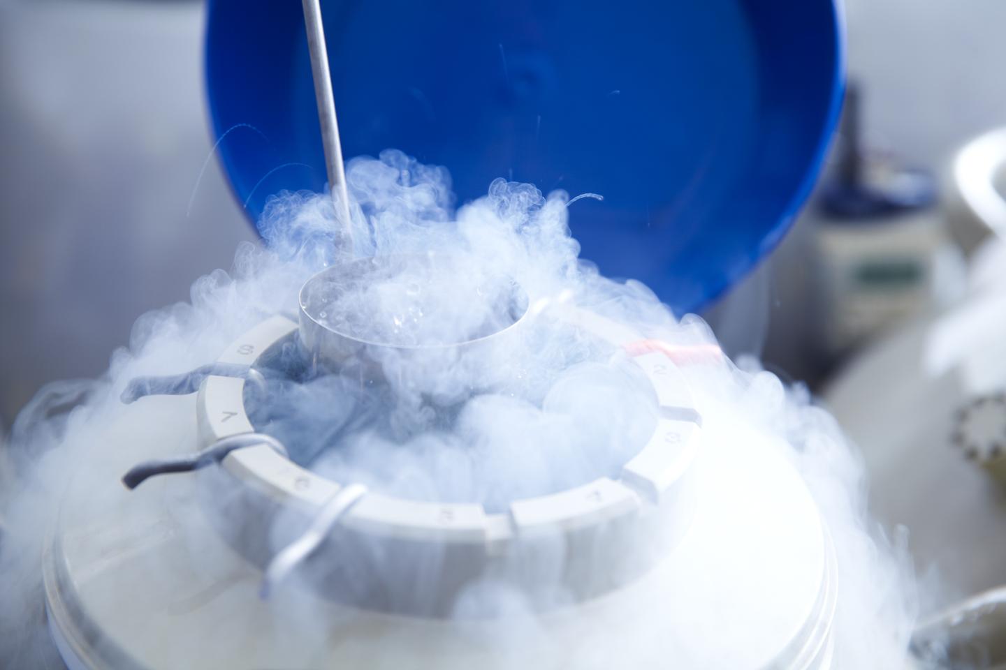 Why the backlash against egg freezing perks is ridiculous