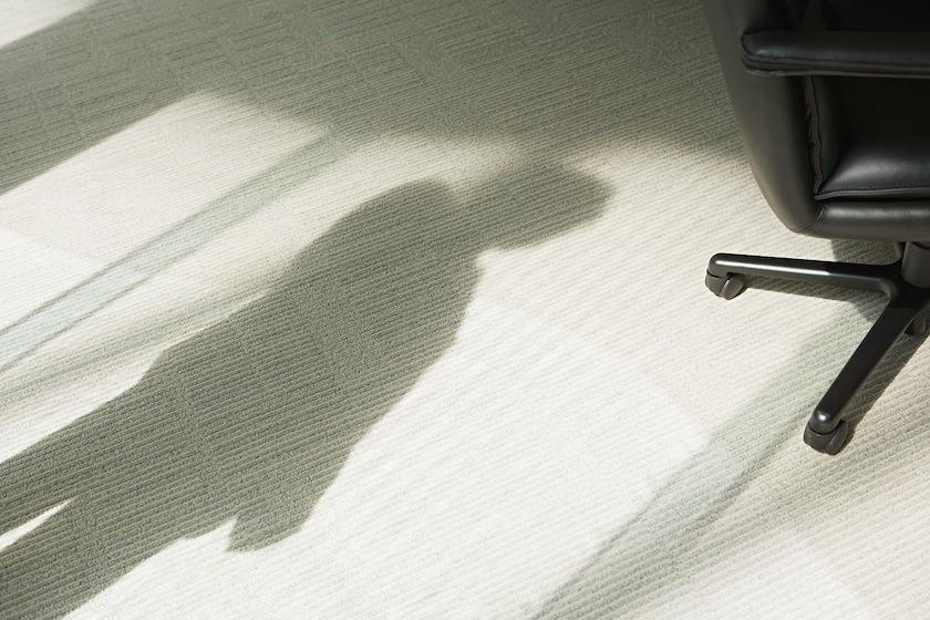 shadow businessperson