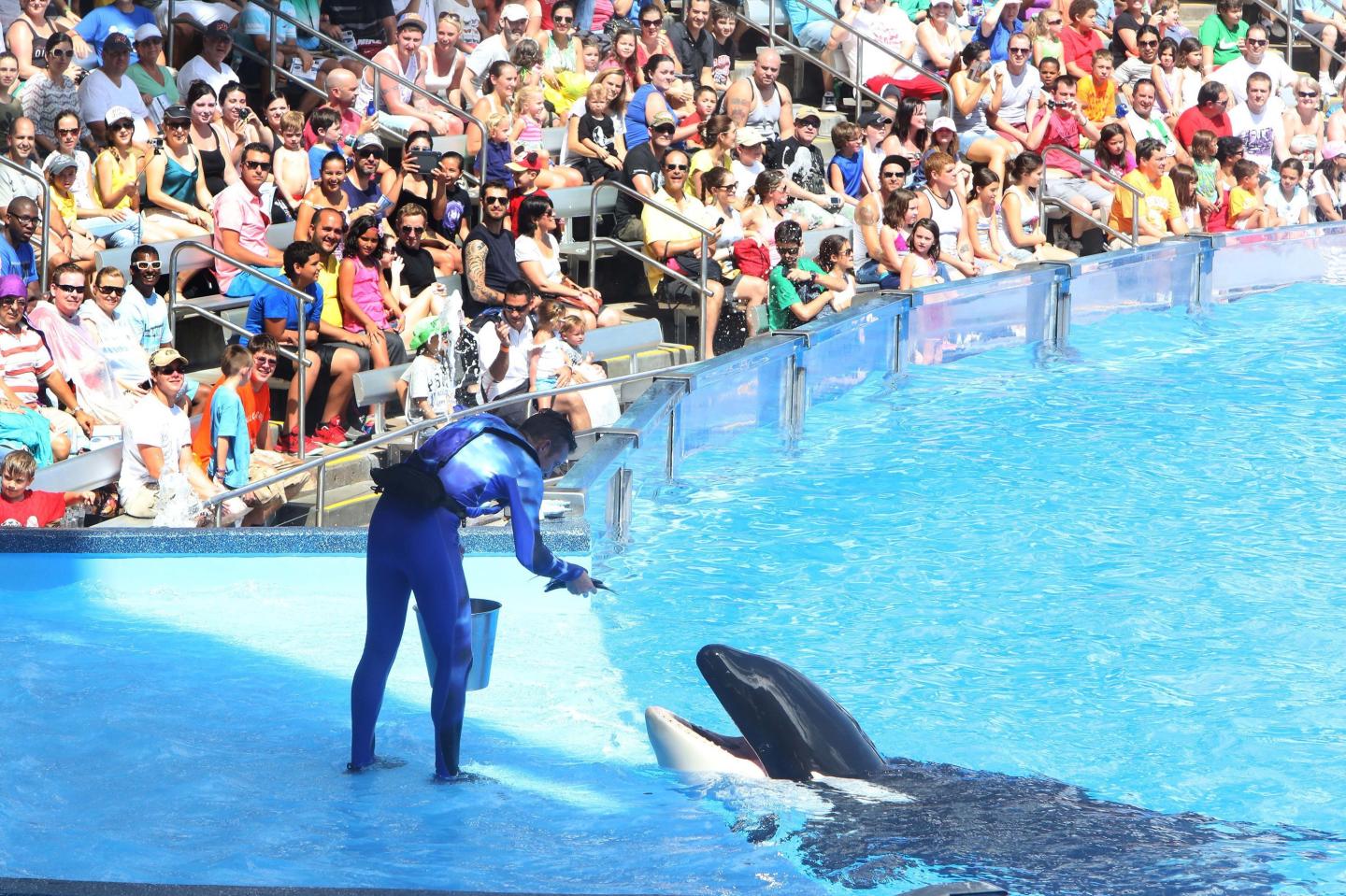 Some aquariums scaling back amid controversy