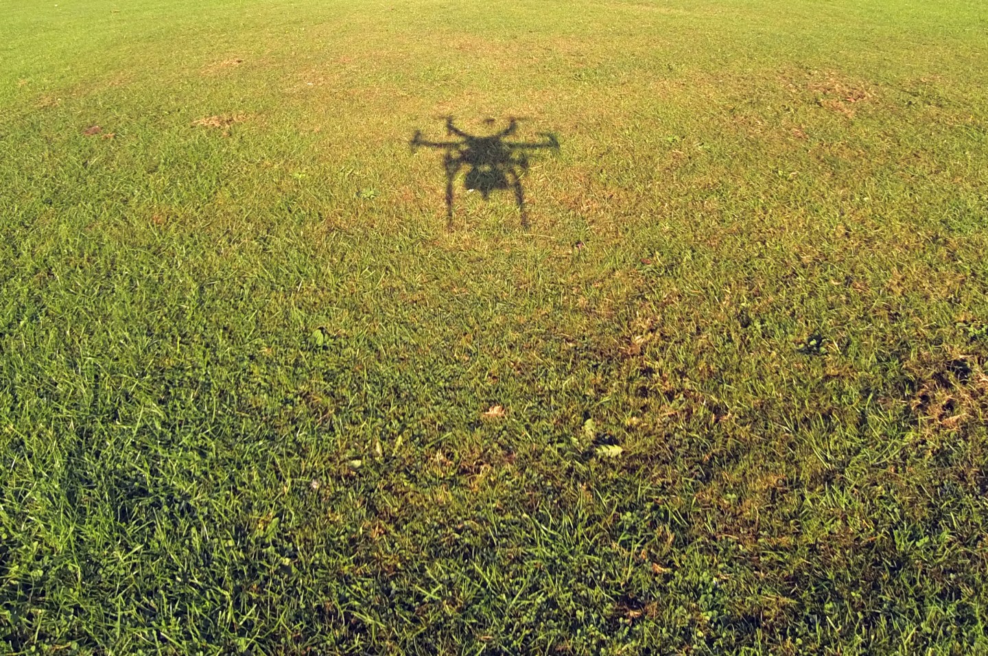 Shadow of a Drone