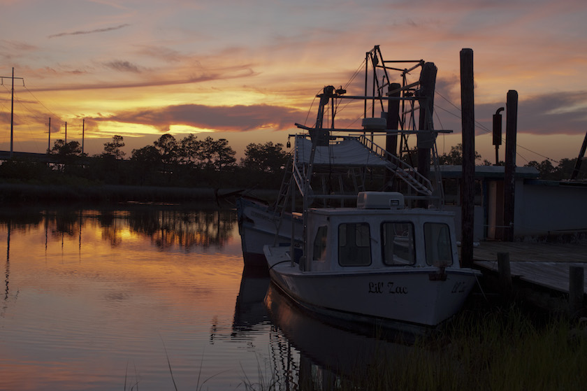 After BP’s disaster, a massive plan to revive the Gulf of Mexico