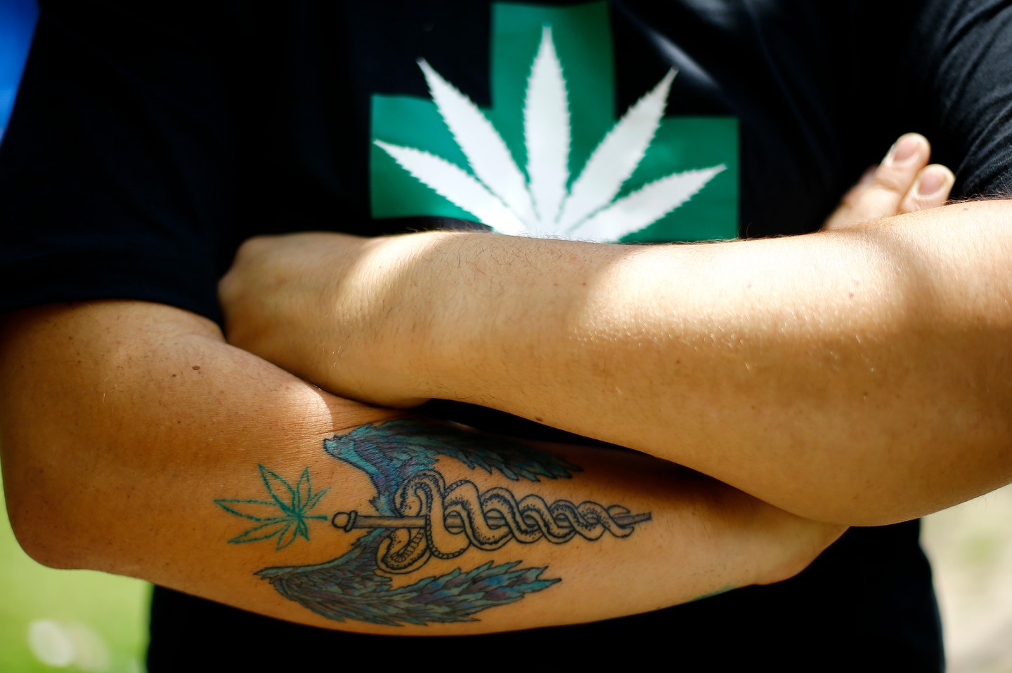 A man attends the first cultivation of cannabis authorized for medicinal purposes in Santiago