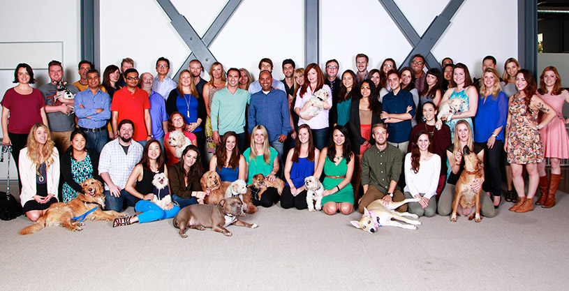 DogVacay staff and their dogs in 2014.