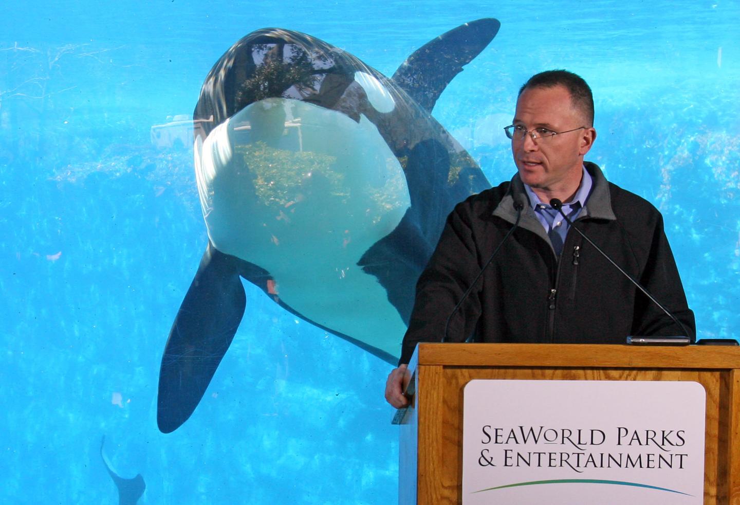 SeaWorld CEO dives out