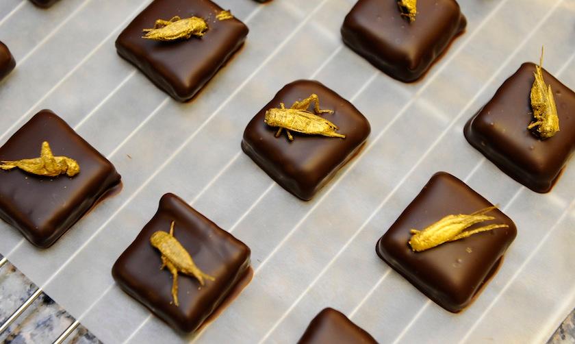 FRANCE-FOOD-CHOCOLATE-INSECT-OFFBEAT