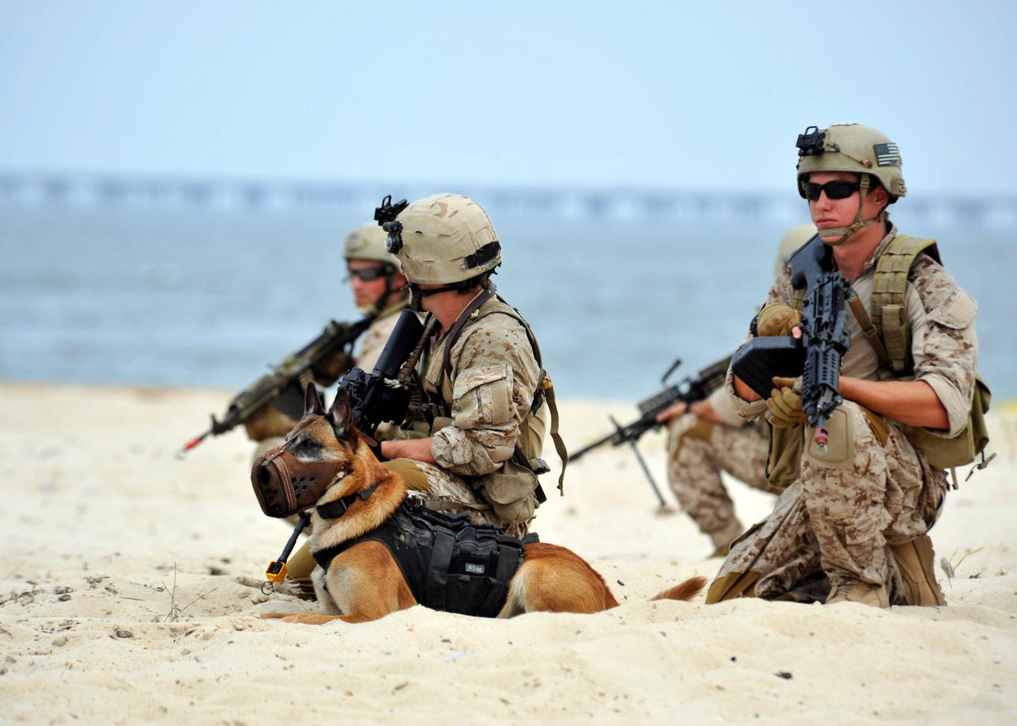 U.S. Navy SEAL platoon 2010