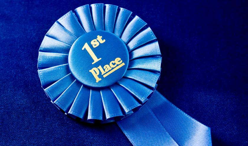 1st place ribbon on blue velvet