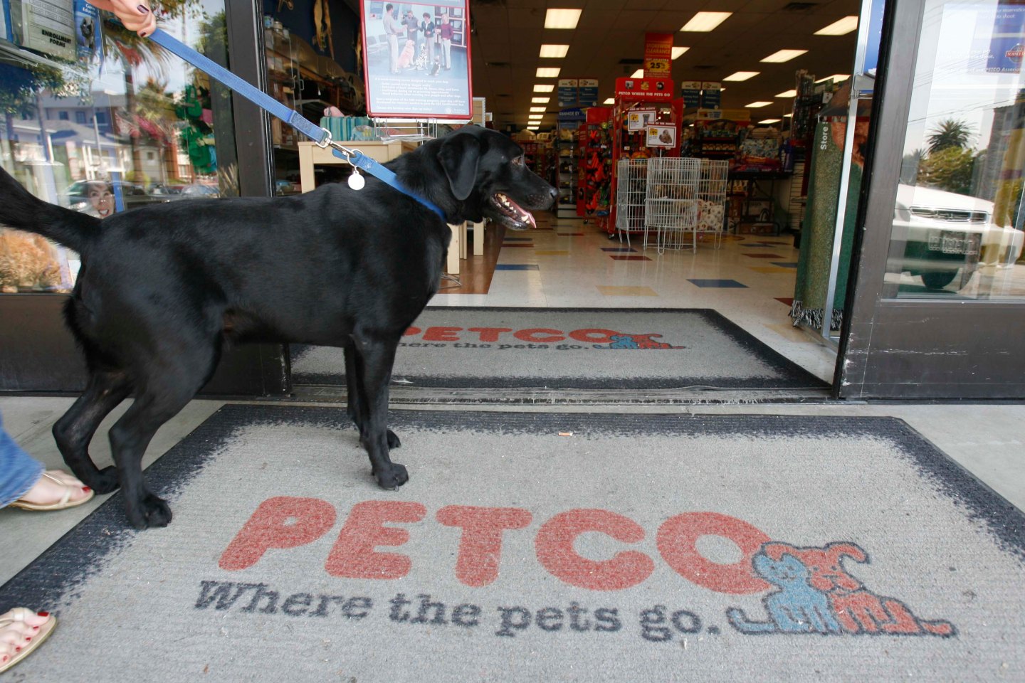 PETCO BUYOUT