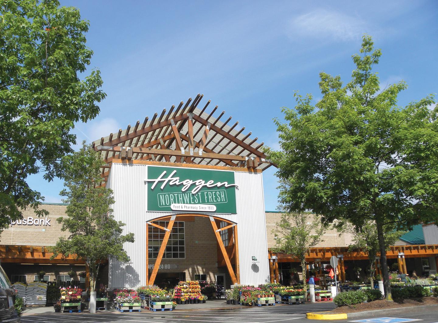 Giant grocery merger creates big, new chain
