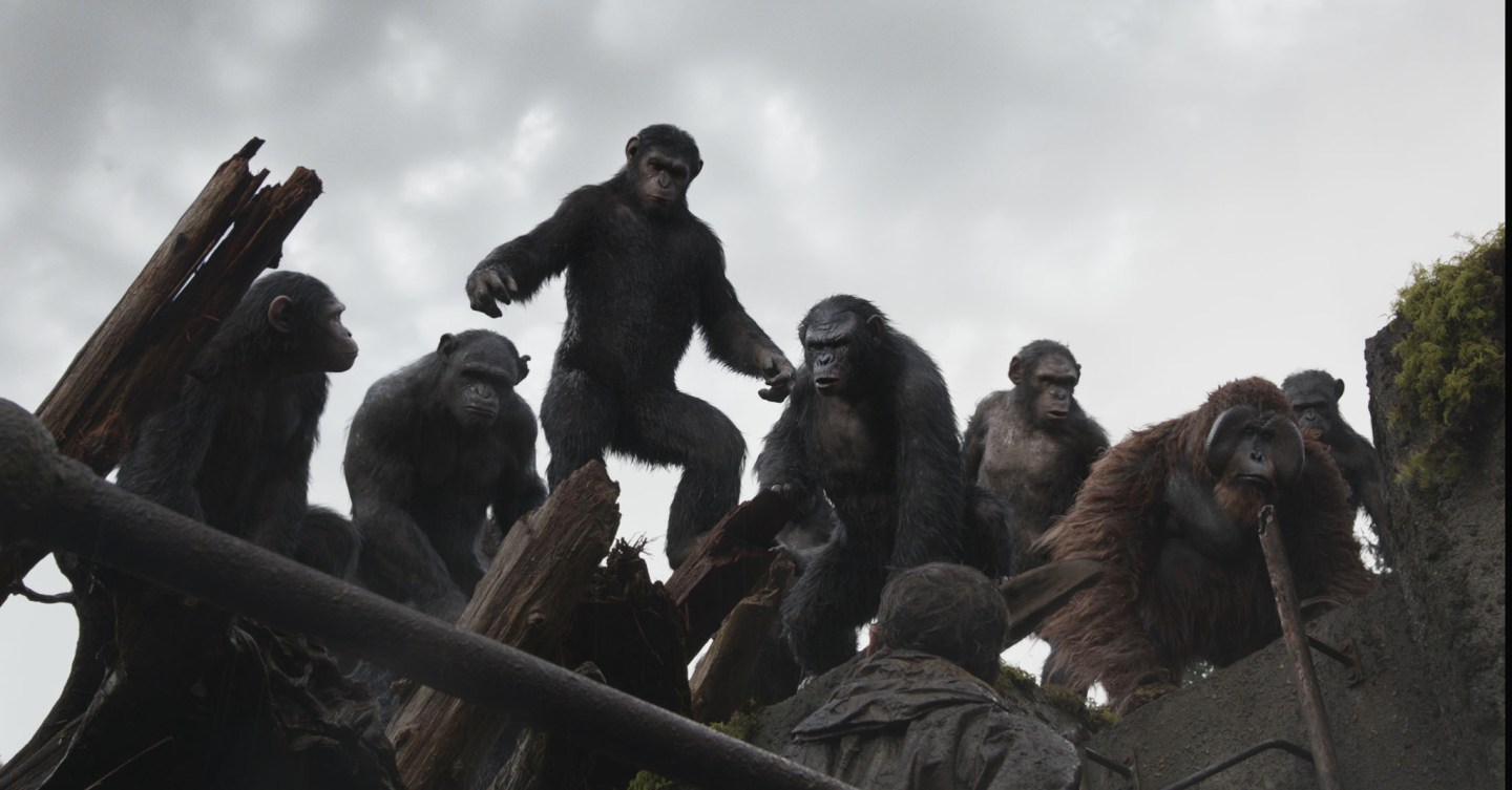 Envelope please … here’s why 20th Century Fox wins 2014’s best movie studio