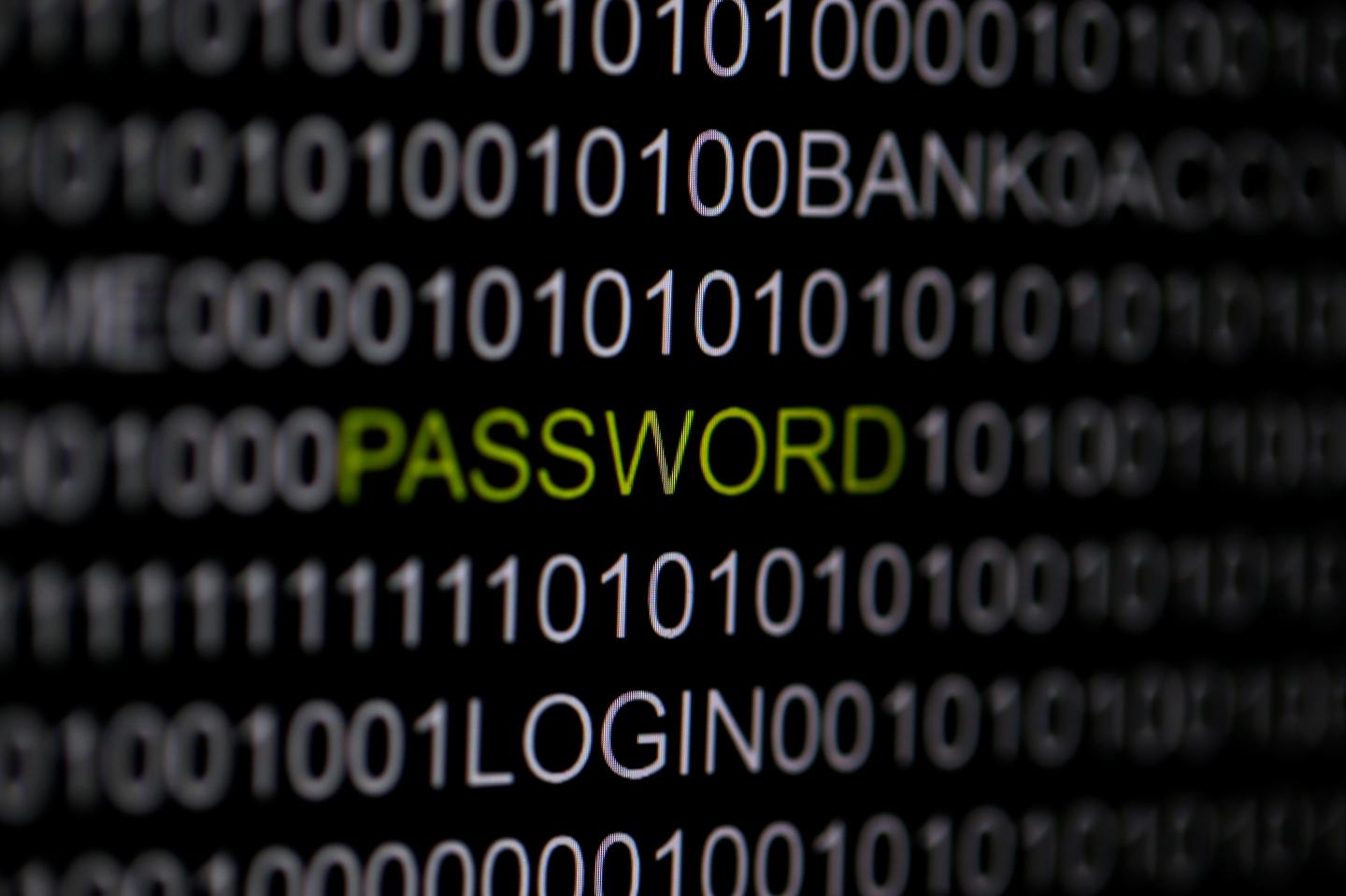 The word 'password' is pictured on a computer screen in this picture illustration taken in Berlin