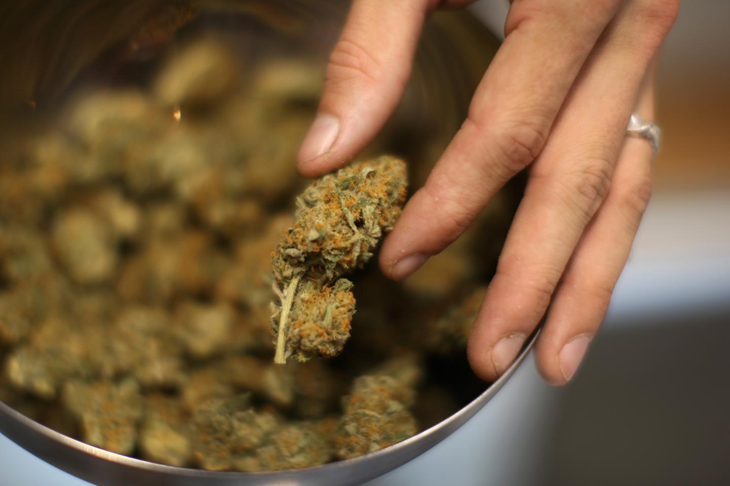 Los Angeles To Not Enforce Ban On Marijuana Dispensaries