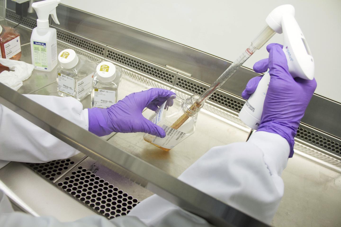 Obama’s budget cuts $50 million from a vaccine program for the underinsured