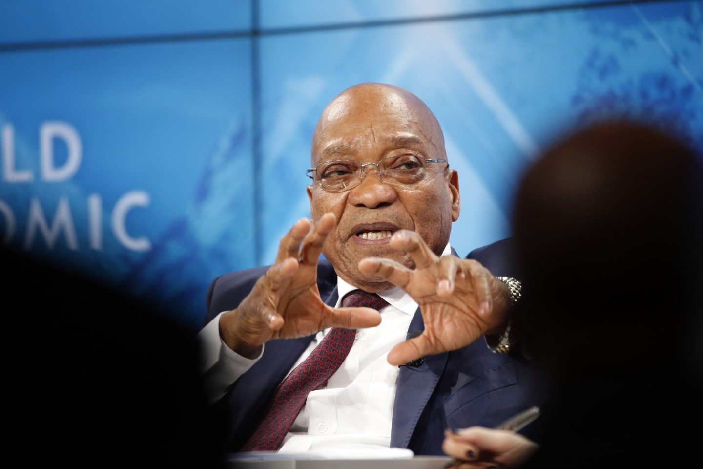 The Davos World Economic Forum 2015