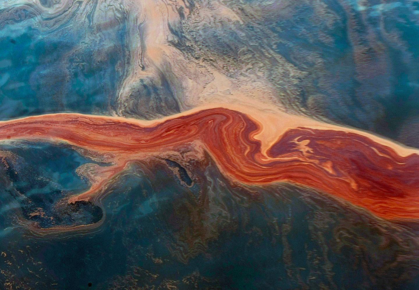 Gulf Oil Spill