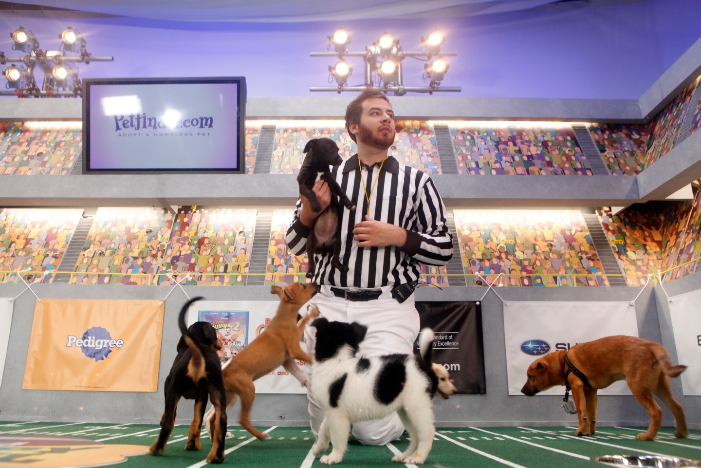 TV Puppy Bowl