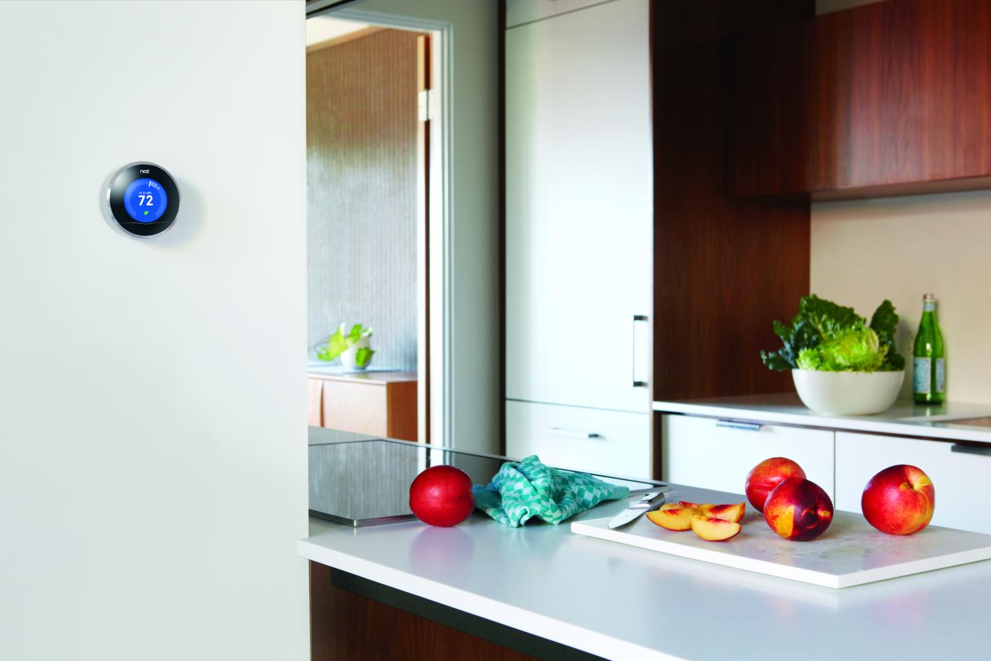Nest Labs Inc.