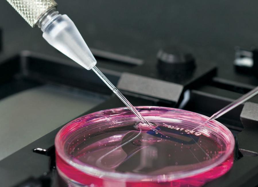 Regeneron vaults ahead of Amgen in race to market cholesterol drug