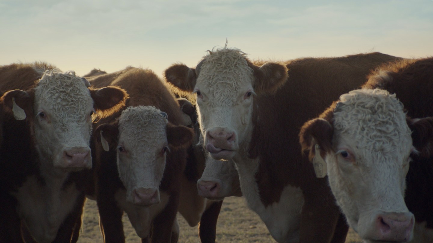 2015 Chevrolet Silverado HD Super Bowl XXXXVIII Ad