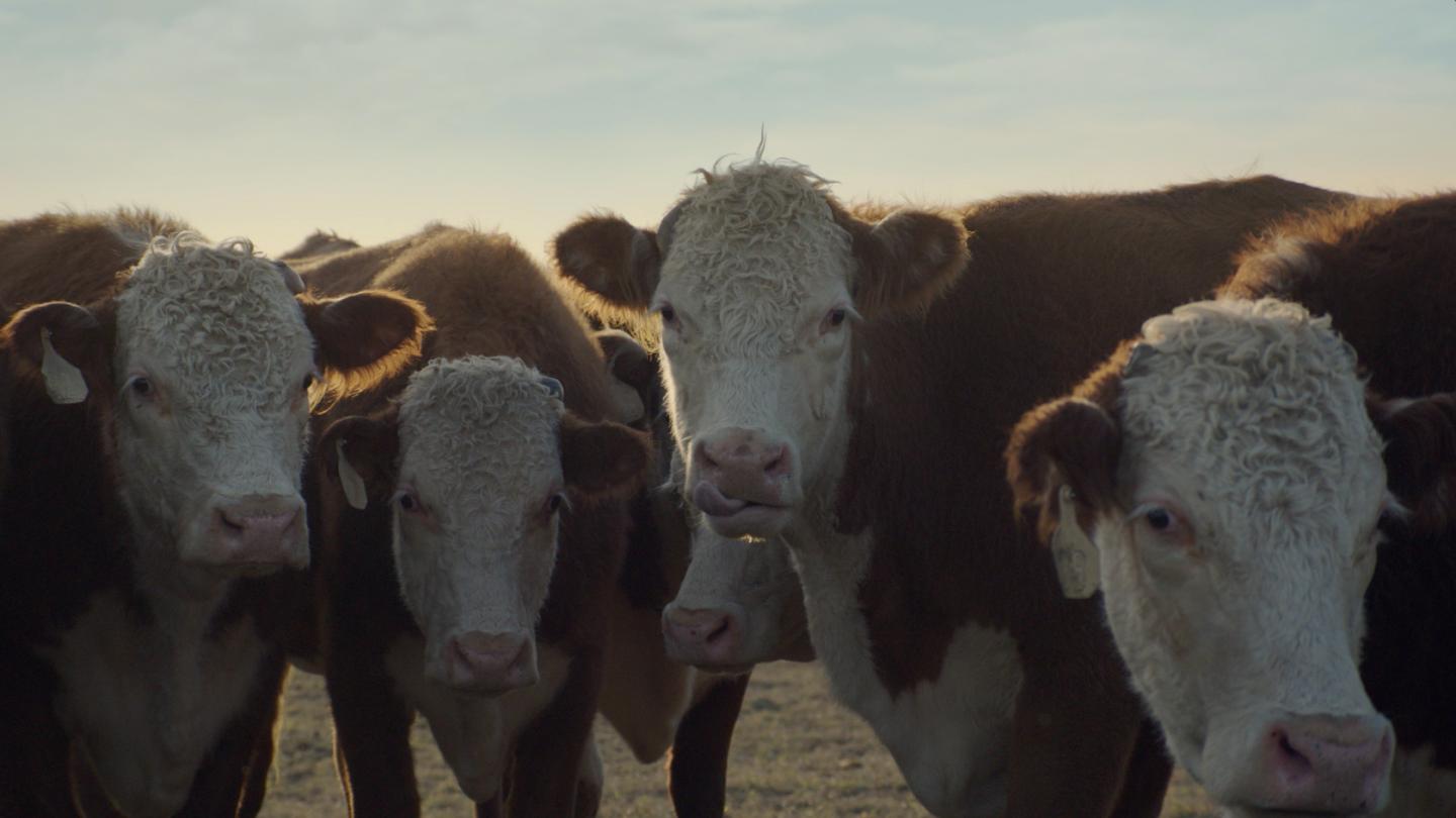 2015 Chevrolet Silverado HD Super Bowl XXXXVIII Ad