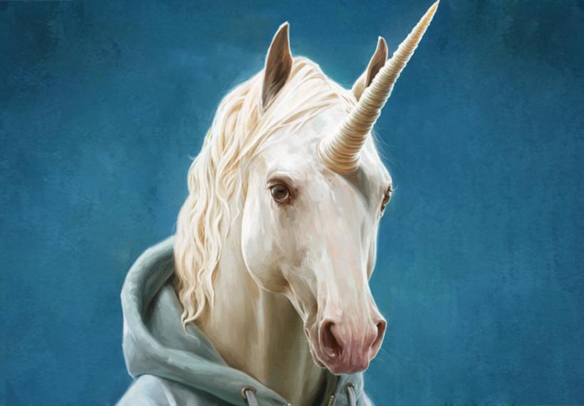 The (Very Contradictory) Year in Unicorns
