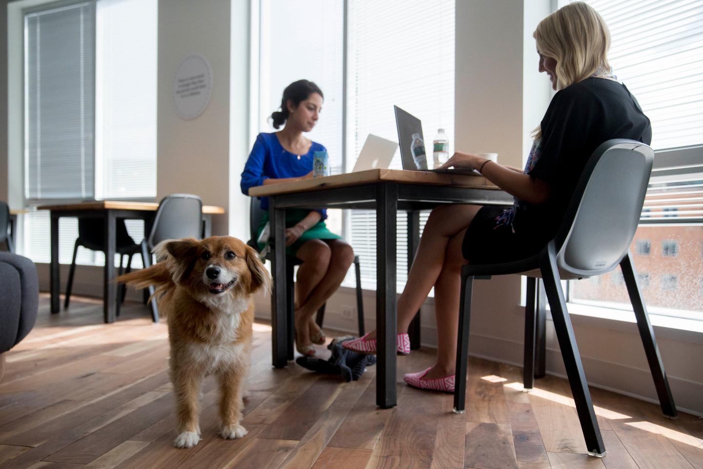 Google Brings Quirk And Clout To New DC Digs