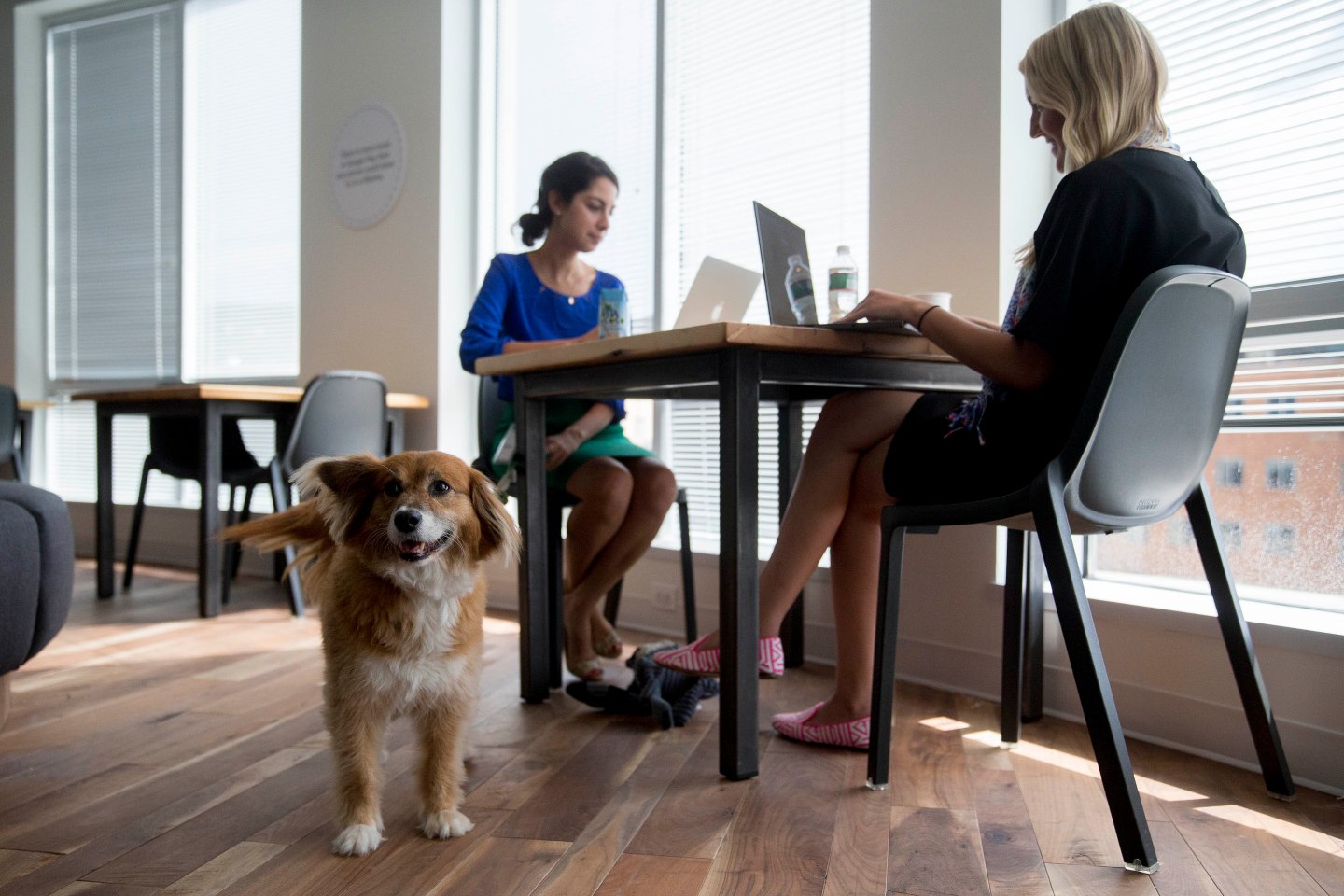 Google Brings Quirk And Clout To New DC Digs