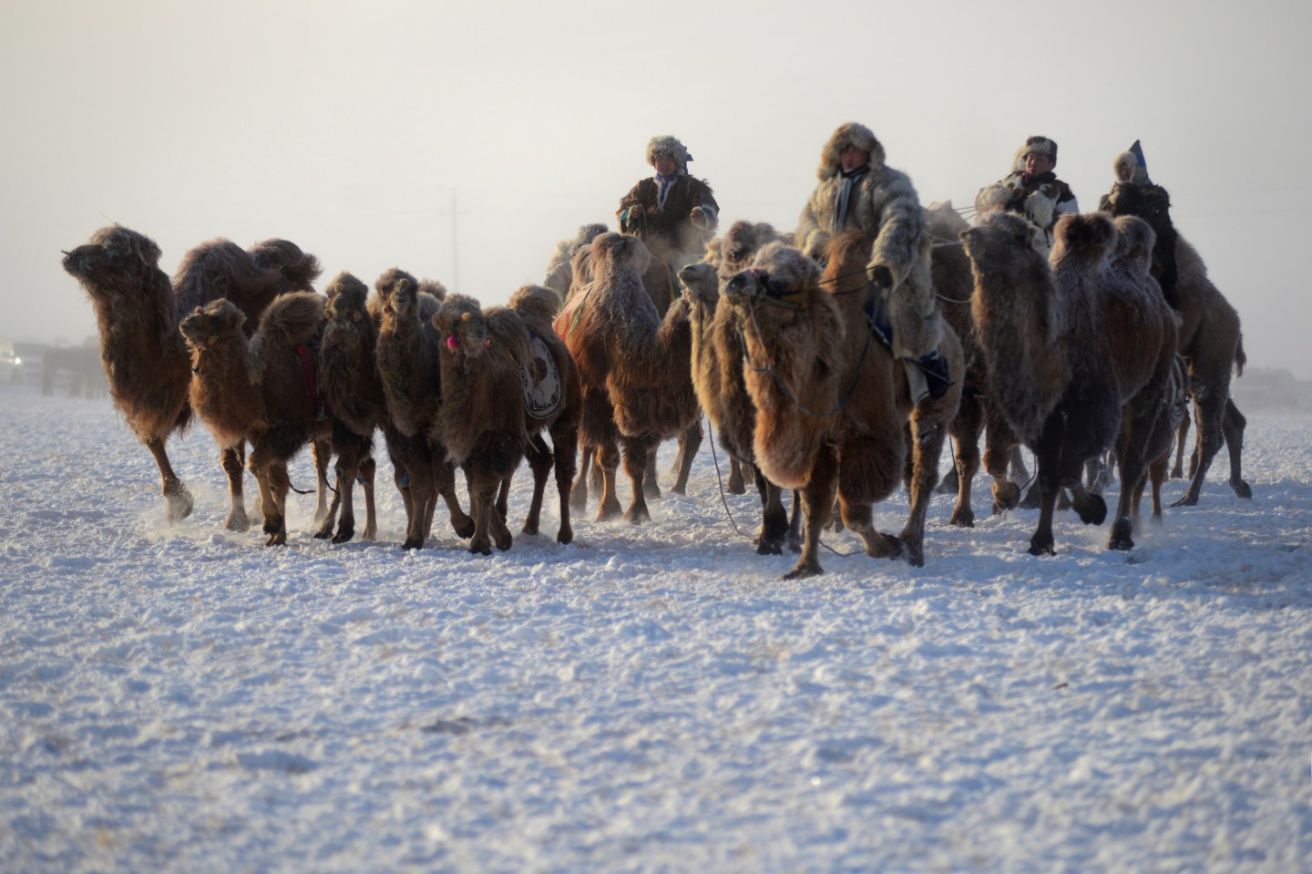 2014 China Ice And Snow Naadam Festival Helds In Hulun Buir