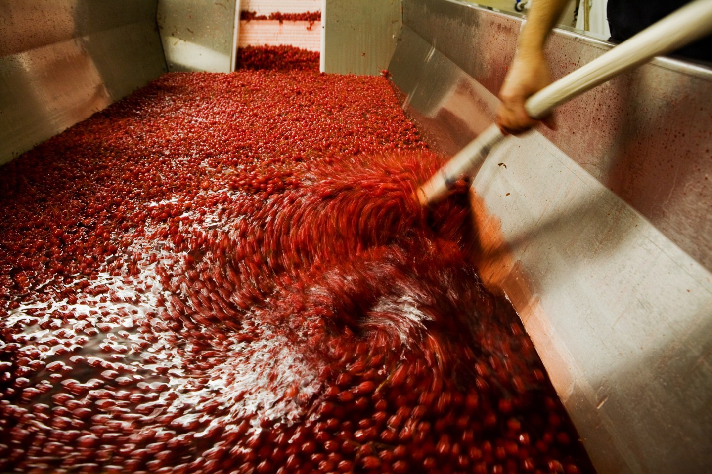 Dell's Maraschino Cherries Company