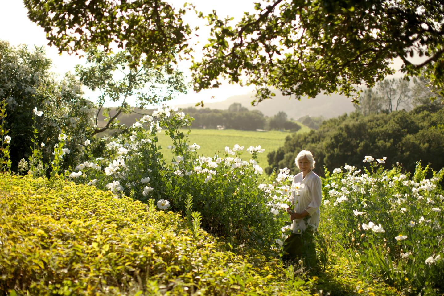 This woman is living the Napa Valley dream