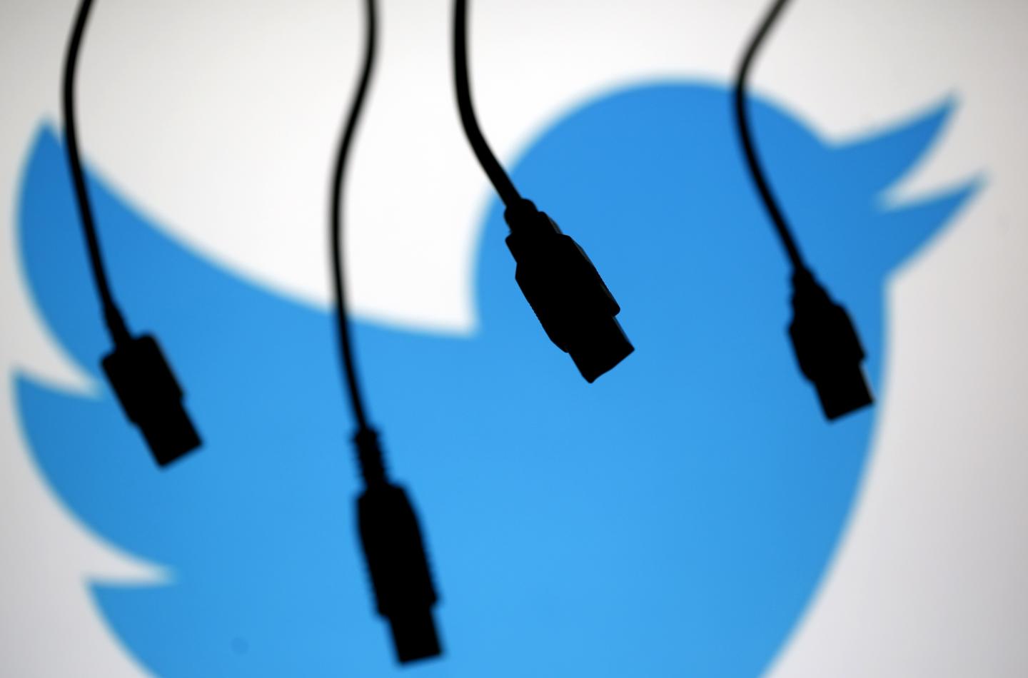 Electronic cables are silhouetted next to the logo of Twitter in this illustration photo in Sarajevo